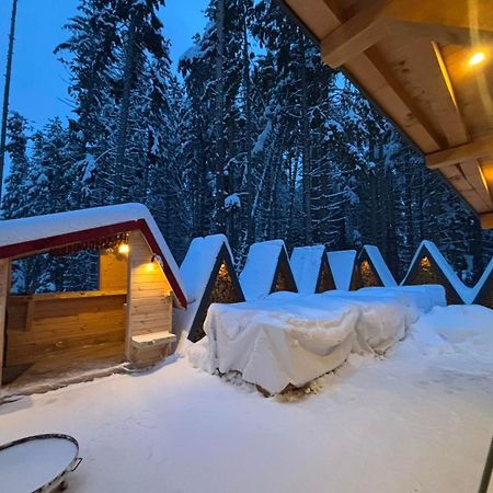 Hotel Algara Hut Panichishte Exterior foto