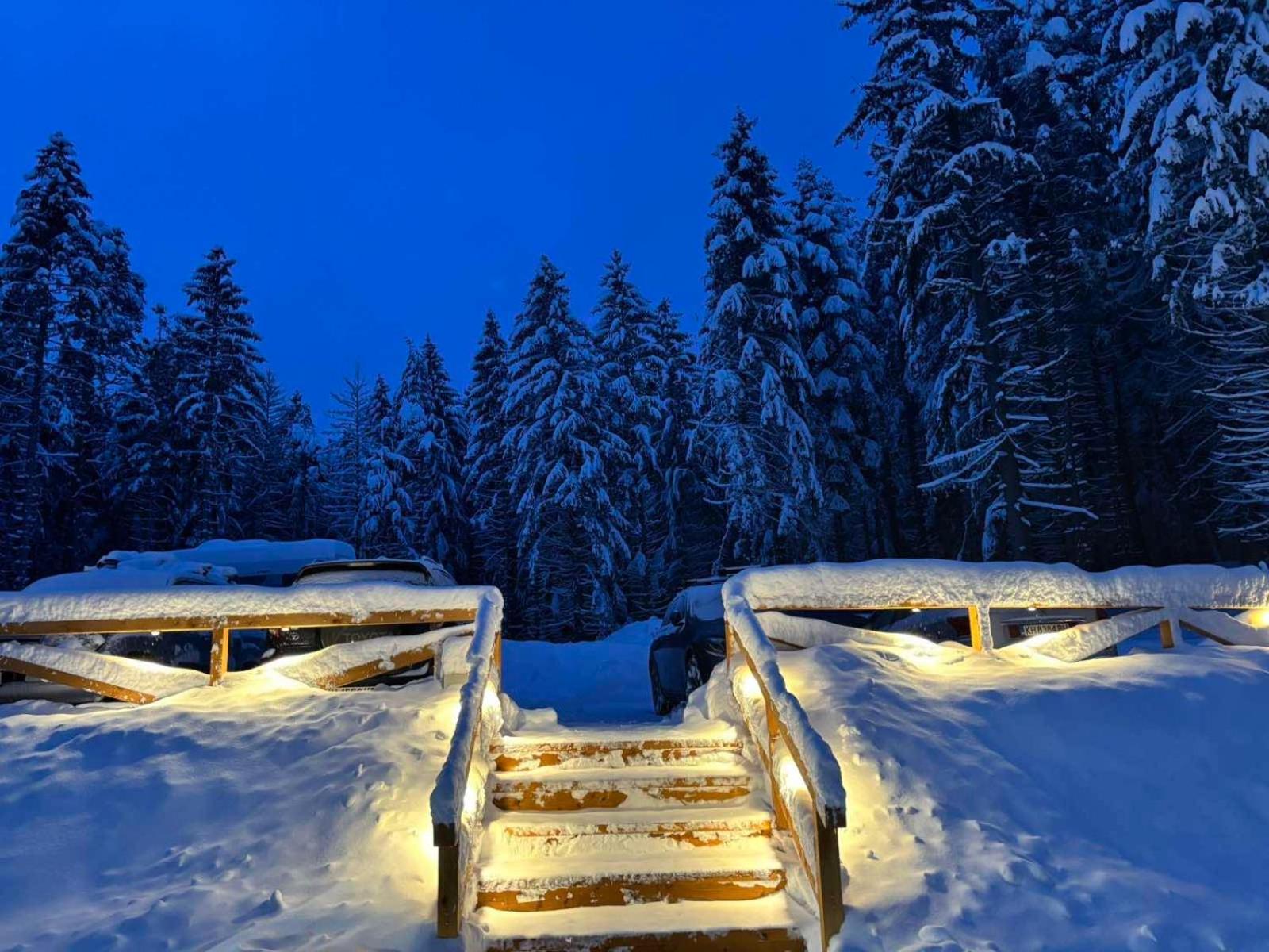 Hotel Algara Hut Panichishte Exterior foto